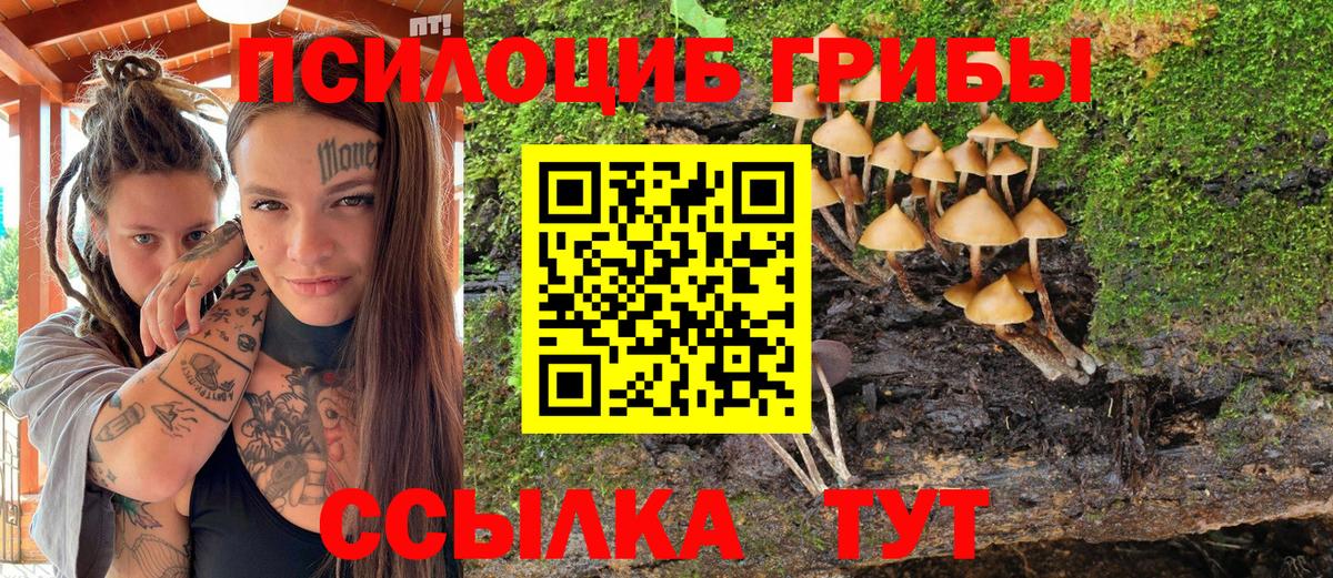 Кирово-Чепецк  Псилоцибиновые грибы Magic Shrooms  Вход с VPN  Псилоцибиновые грибы мицелий 