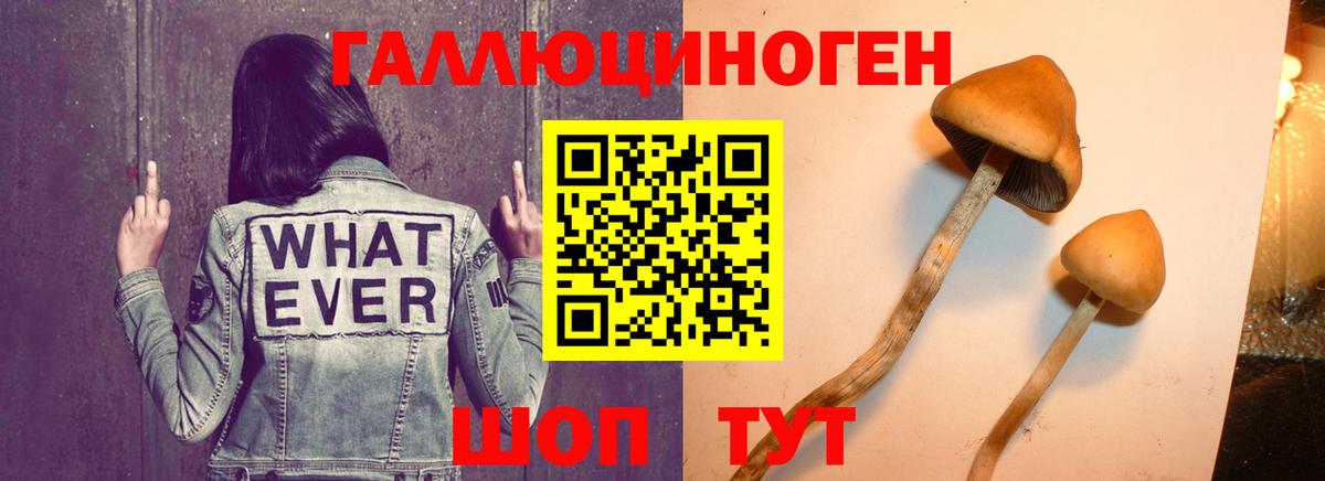 Псилоцибиновые грибы прущие грибы Кирово-Чепецк